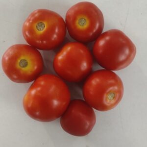 Tomato Desi