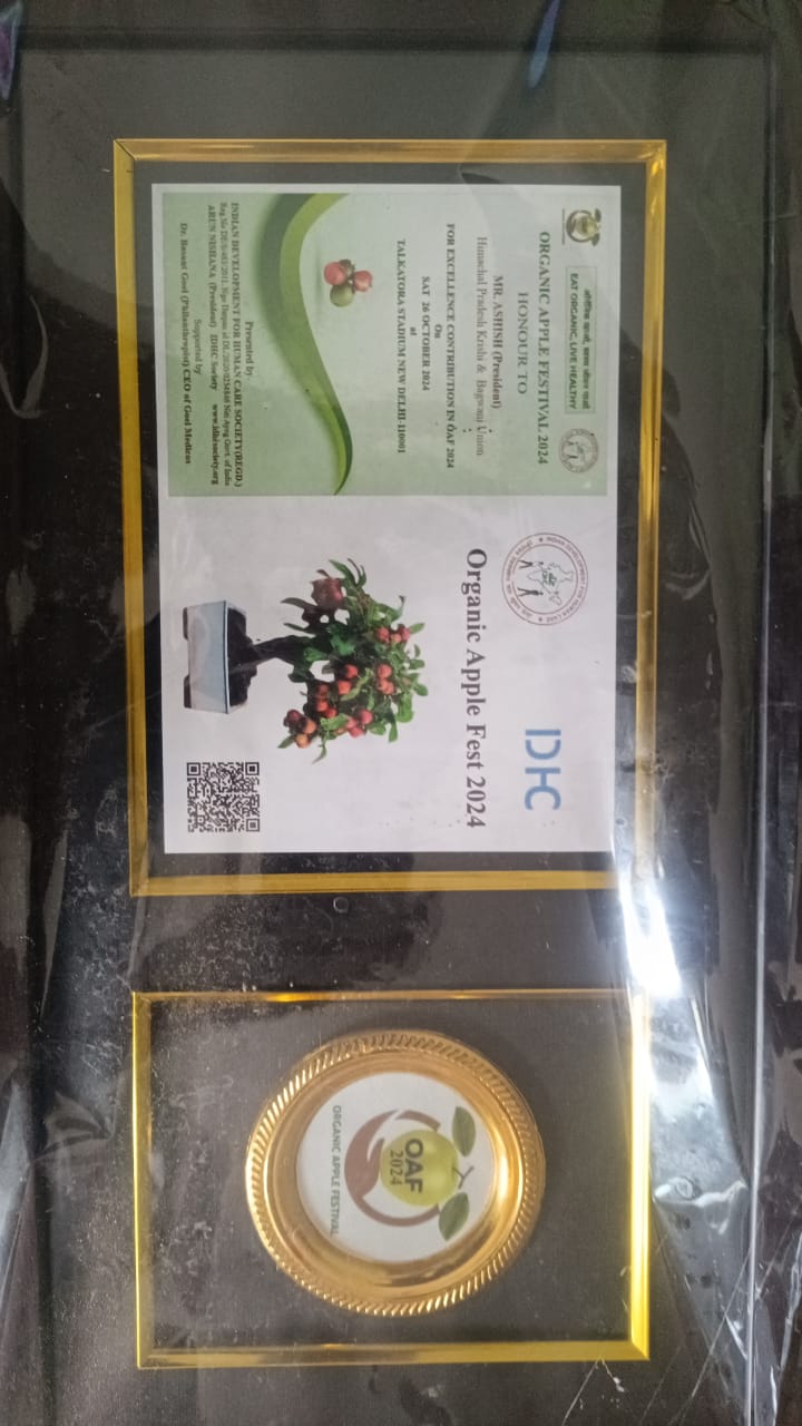 Kinnaur Apple (Royal) - Image 7