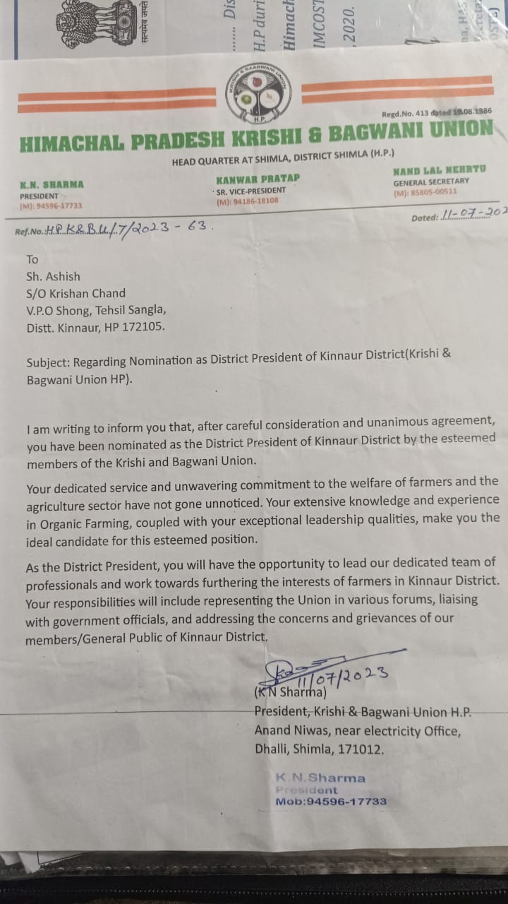 Kinnaur Apple (Royal) - Image 6