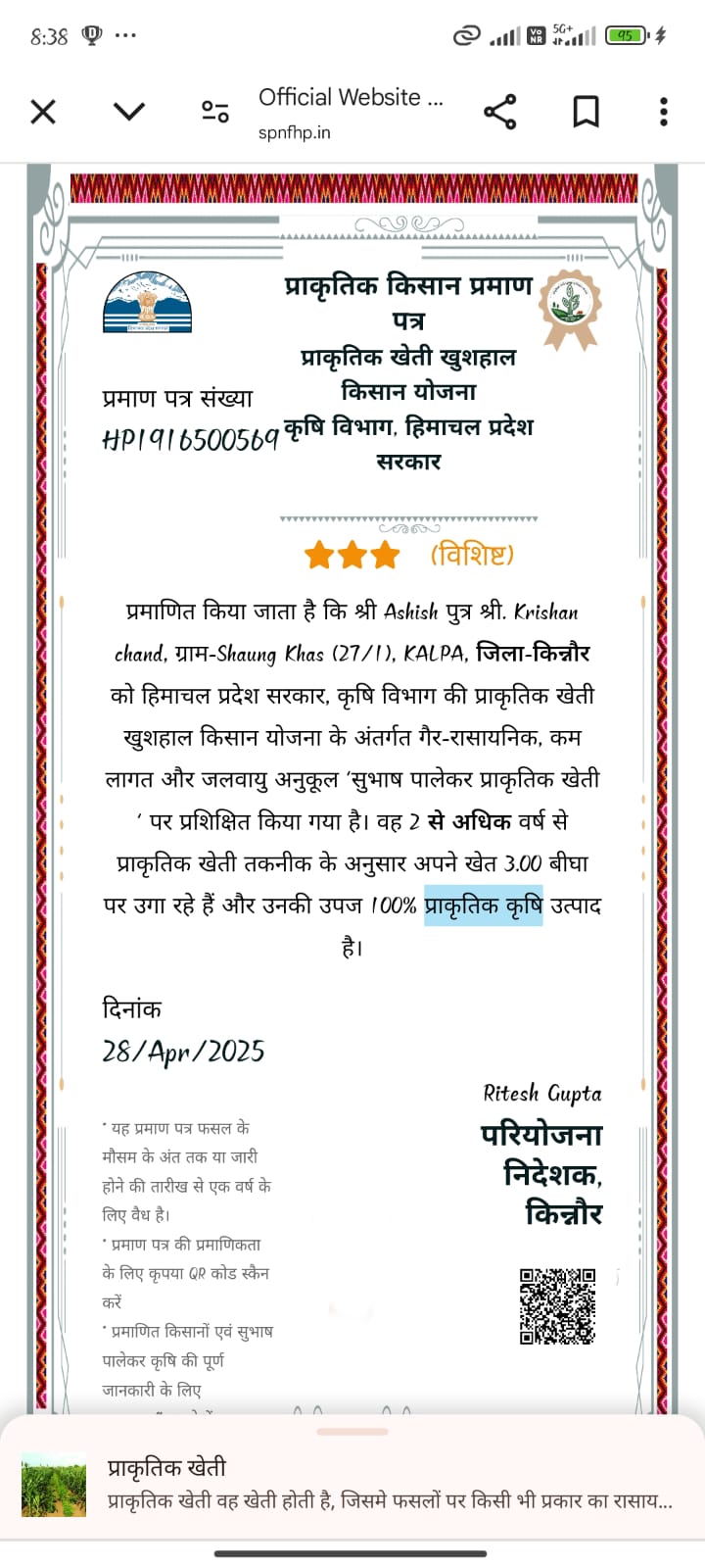 Kinnaur Apple (Royal) - Image 5