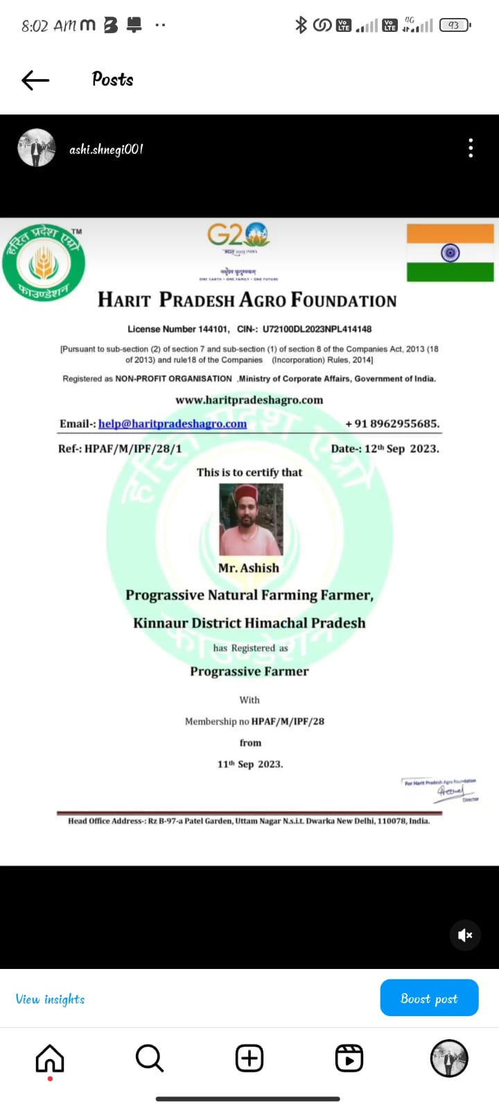 Kinnaur Apple (Royal) - Image 8