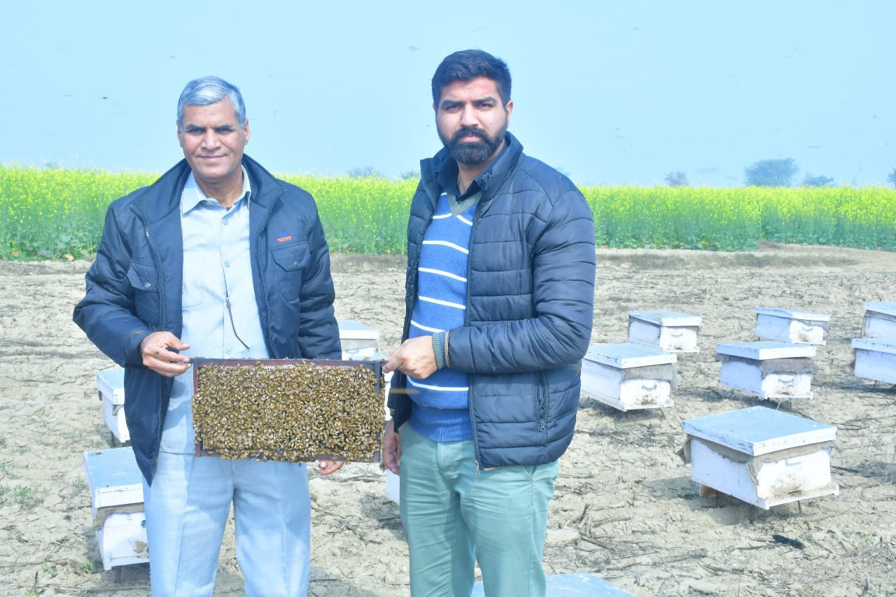 Honey (Multi Flora) - Image 4