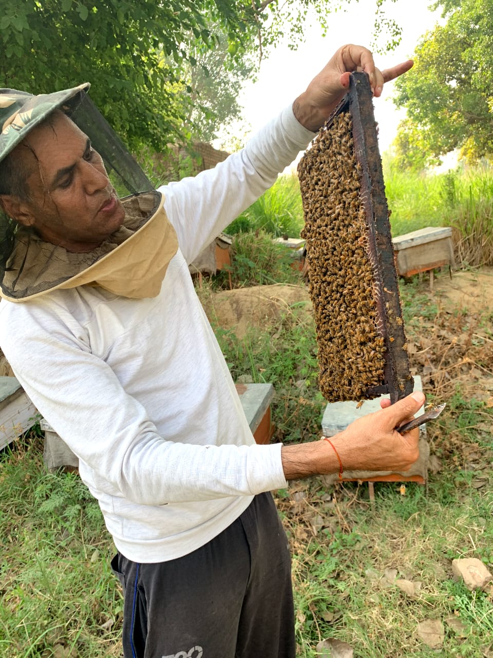 Honey (Multi Flora) - Image 2