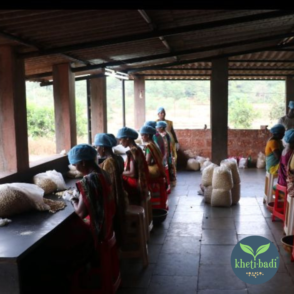 Cashews from Ratnagiri (Konkan) - Image 6