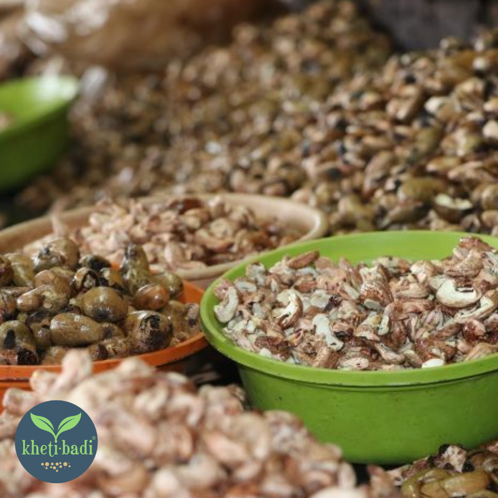 Cashews from Ratnagiri (Konkan) - Image 9