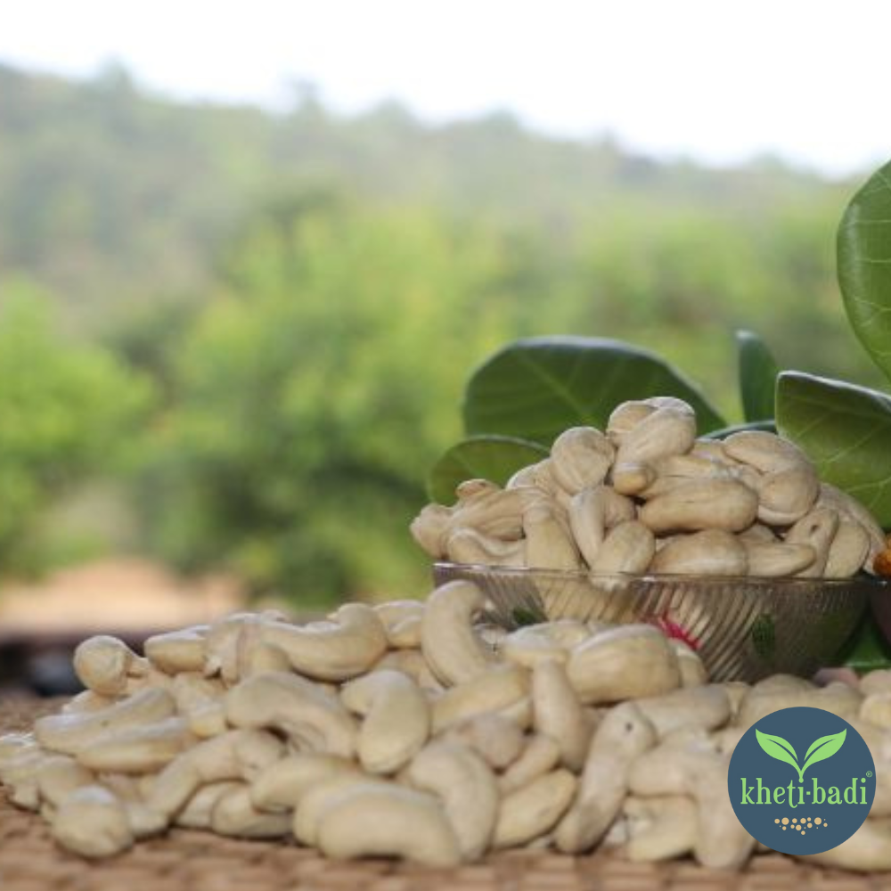 Cashews from Ratnagiri (Konkan) - Image 5